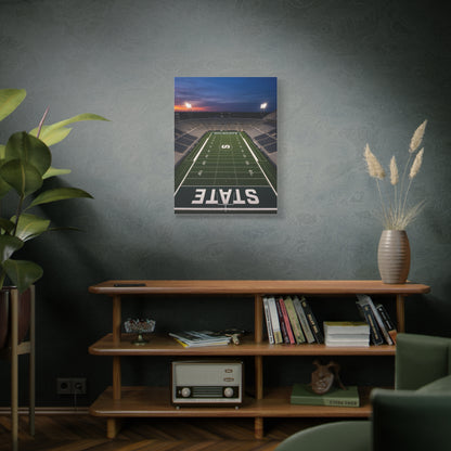 Stadium Under Lights Panorama Sports Wall Art & Canvas Print
