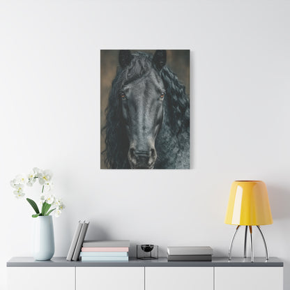 Black Horse Frontal Portrait Wall Art & Canvas Print