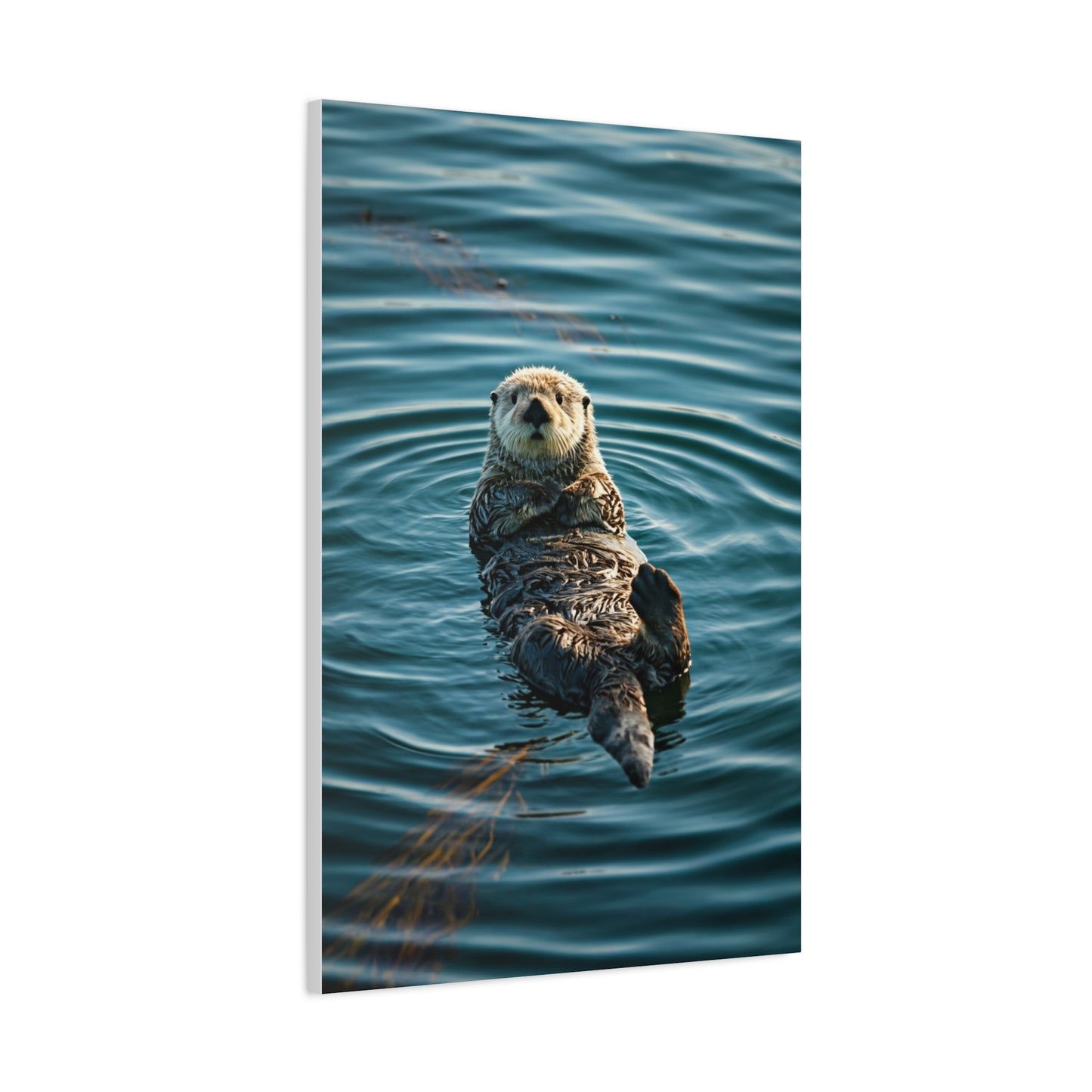 Otter Floating on Water Wall Art & Canvas Prints