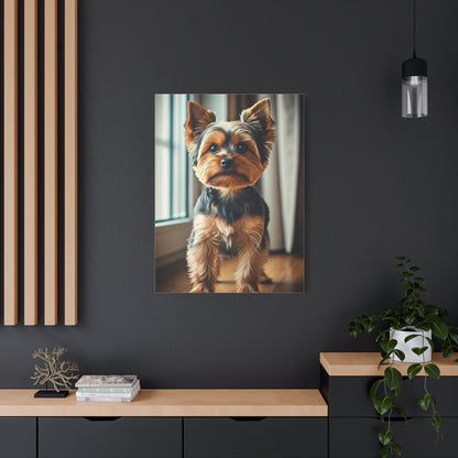 Window Light Yorkie Portrait Wall Art & Canvas Print