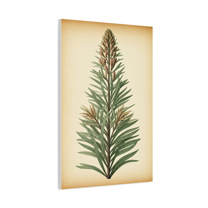 Vintage Fern Study Wall Art & Canvas Prints