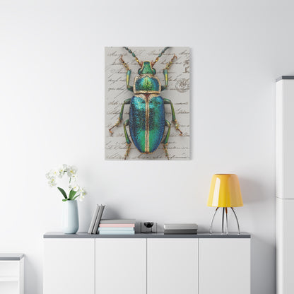 Emerald Beetle Natural History Wall Art & Canvas Print