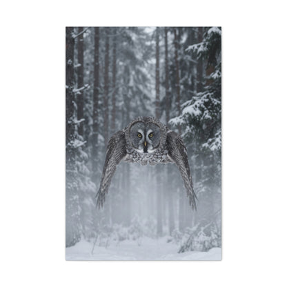 Great Grey Owl Winter Flight Wall Art & Canvas Print