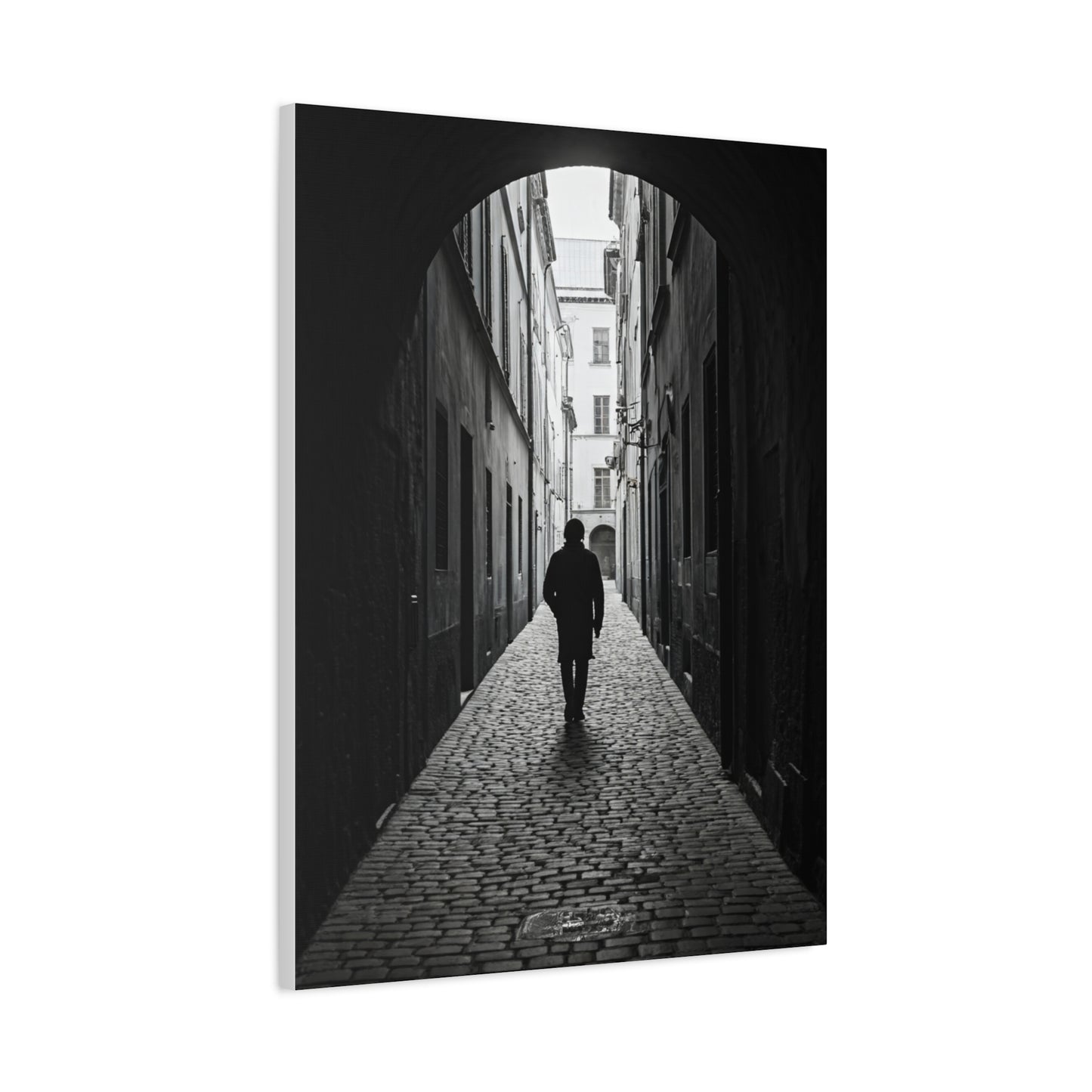 Solitary Alley Silhouette Wall Art & Canvas Prints