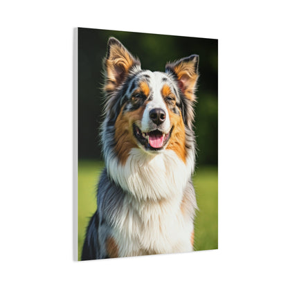 Bright Meadow Aussie Smile Wall Art & Canvas Print