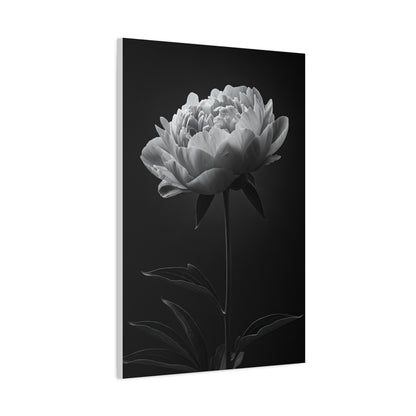 Peony Elegance in Monochrome Wall Art & Canvas Prints