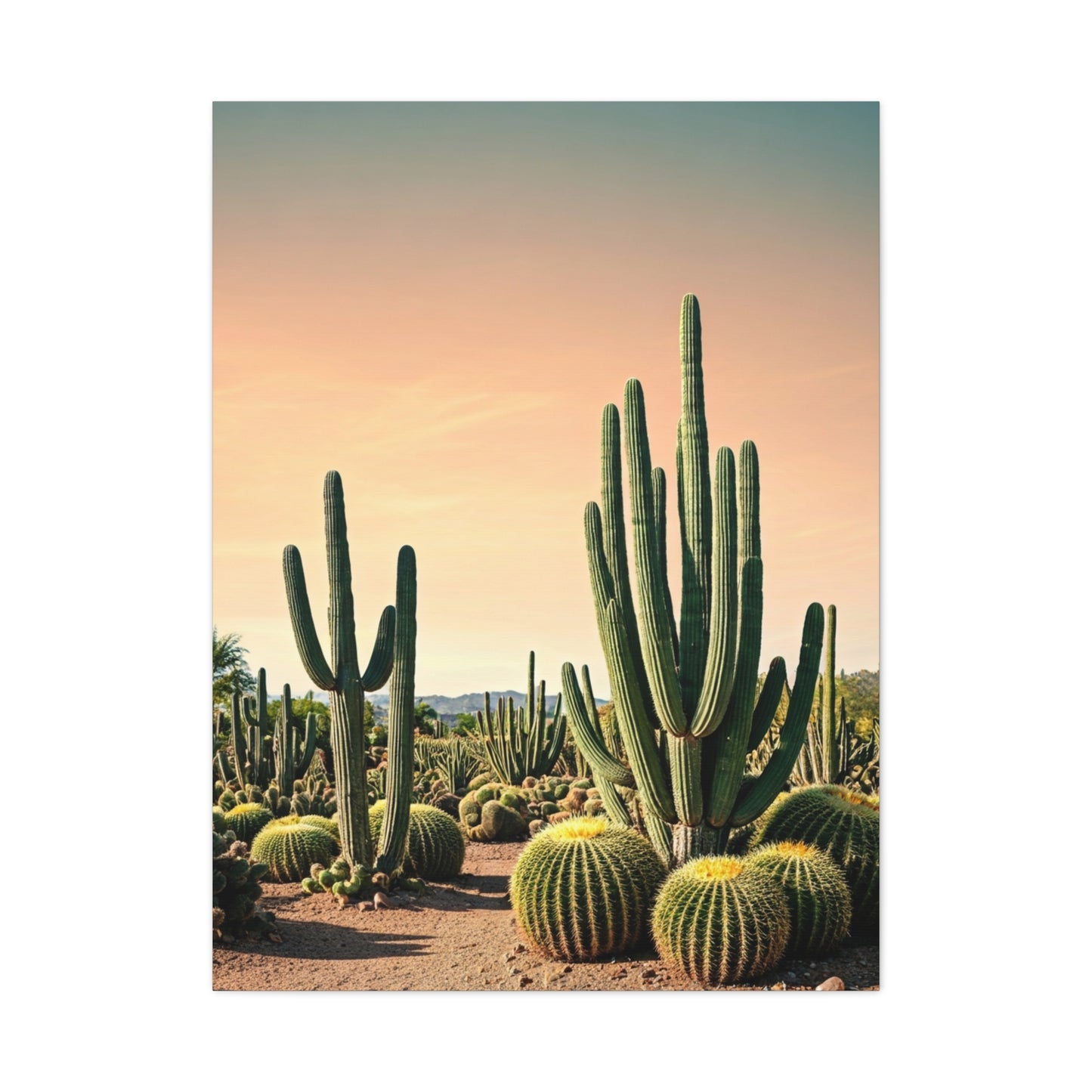 Sonoran Desert Cactus Garden Wall Art & Canvas Prints