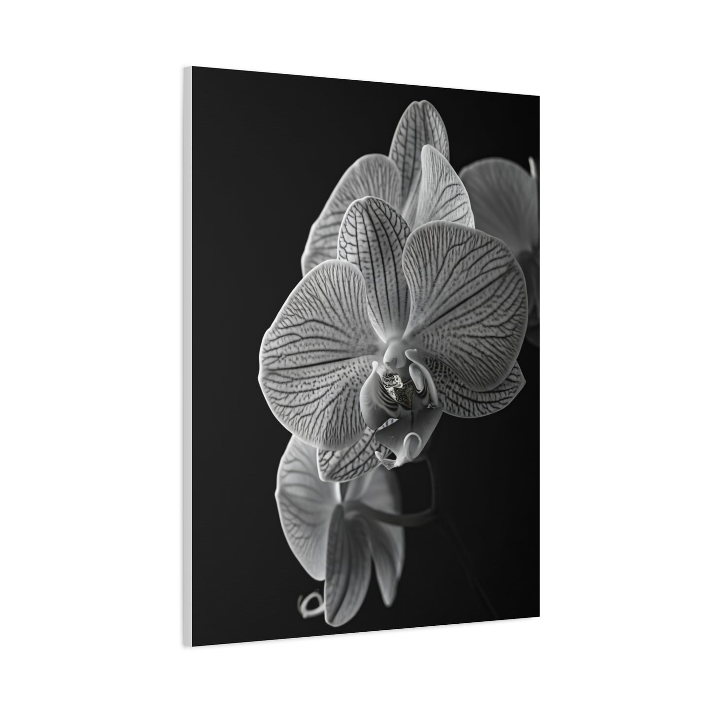 Elegant Orchid Portrait Monochrome Wall Art & Canvas Prints