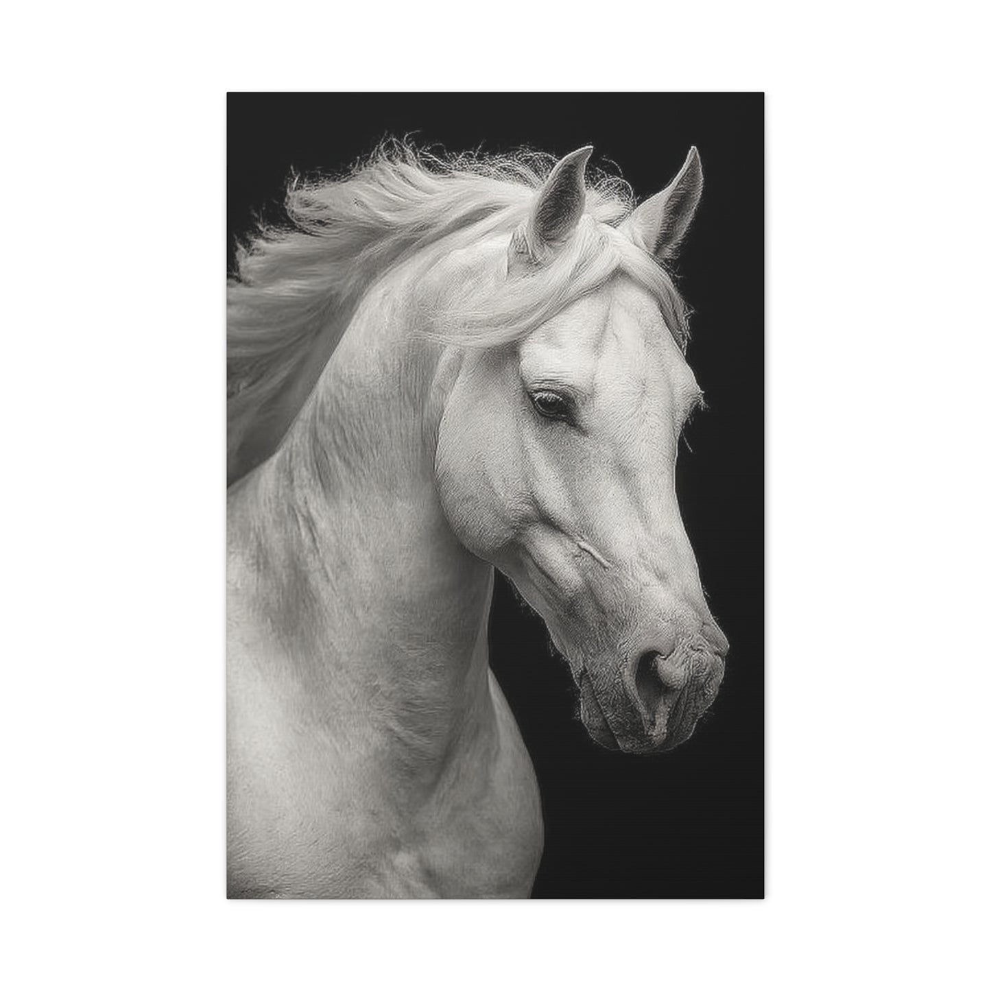 White Horse Fine Art Portrait Wall Art & Canvas Print