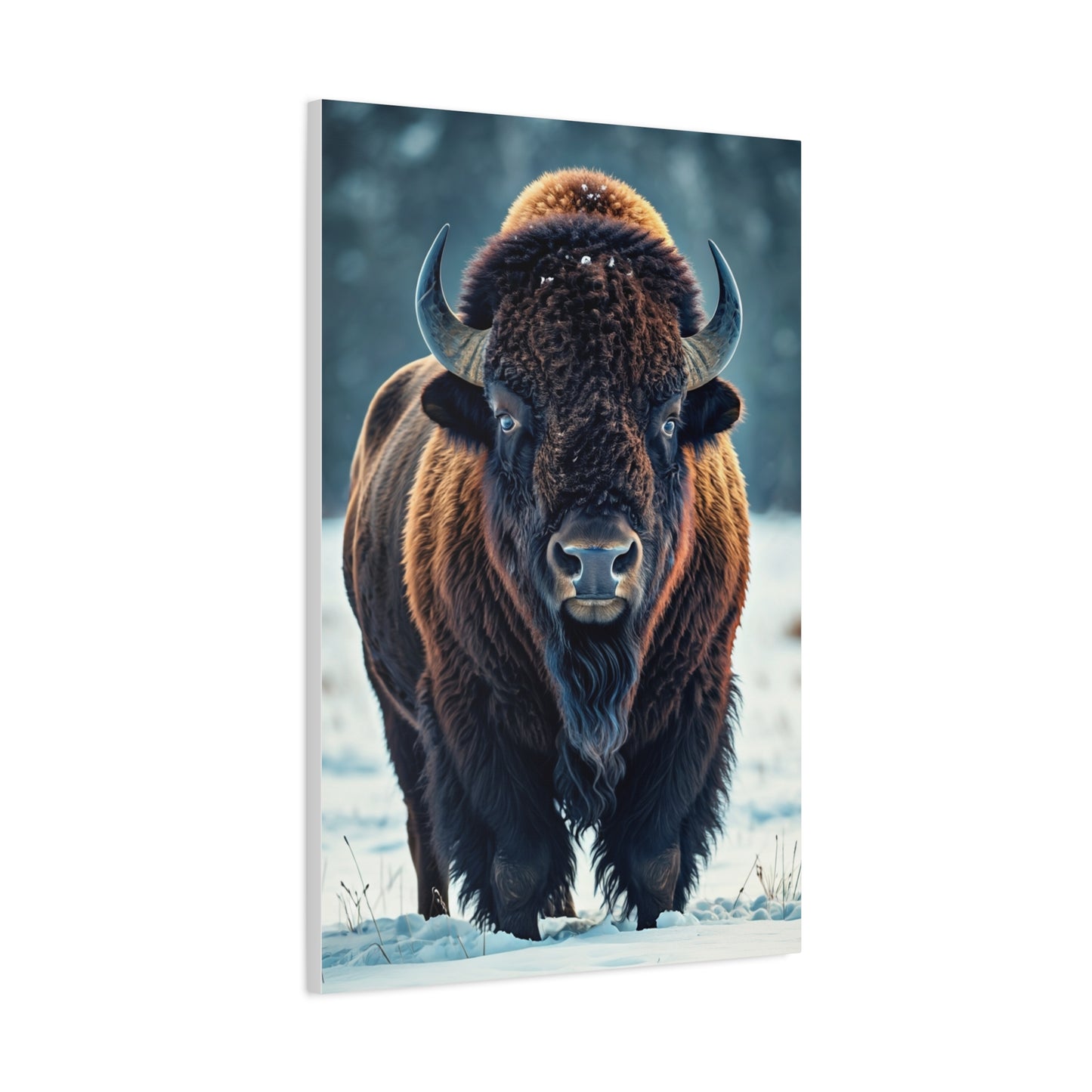 Winter American Bison in Snow Landscape Wall Art & Canvas Print