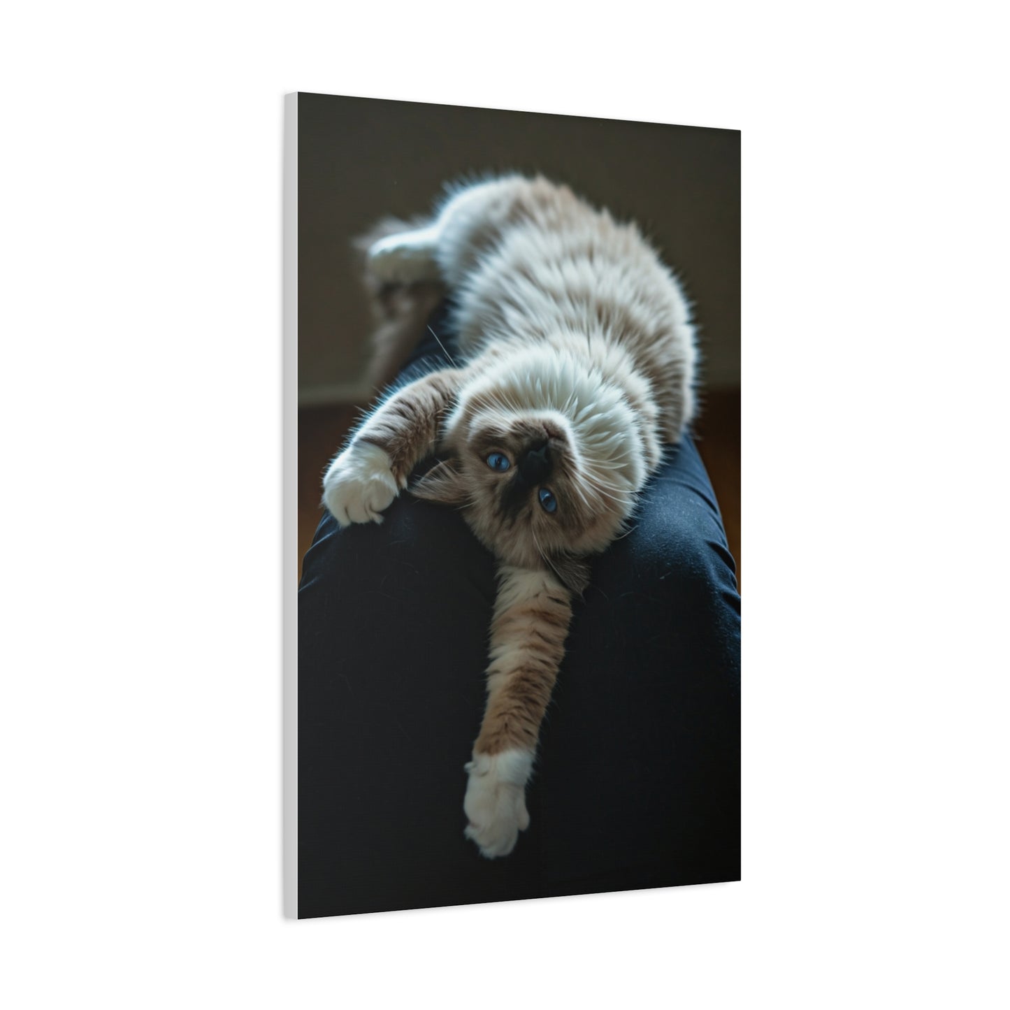 Serene Blue-Eyed Cat Wall Art & Canvas Prints
