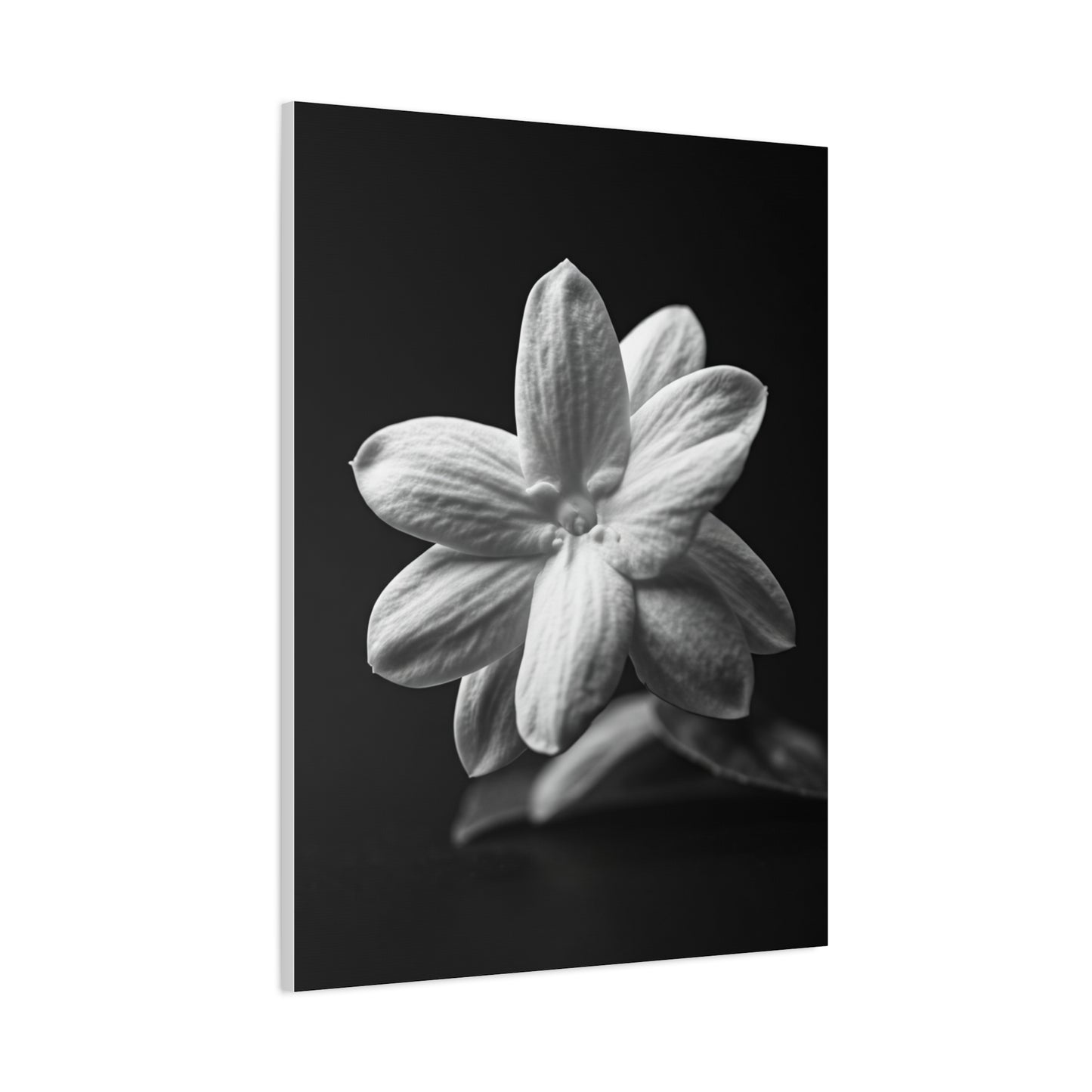 Midnight Jasmine Bloom Wall Art & Canvas Prints