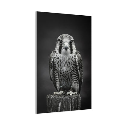 Majestic Falcon Portrait Wall Art & Canvas Prints