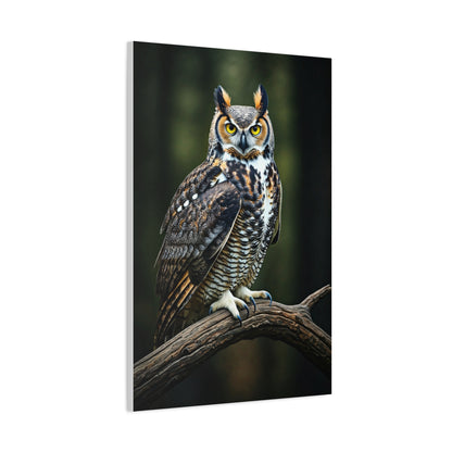 Majestic Owl Perch Wall Art & Canvas Prints