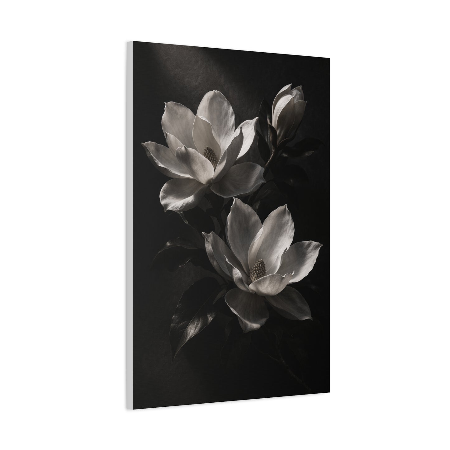 Charcoal Magnolia Floral Wall Art & Canvas Print