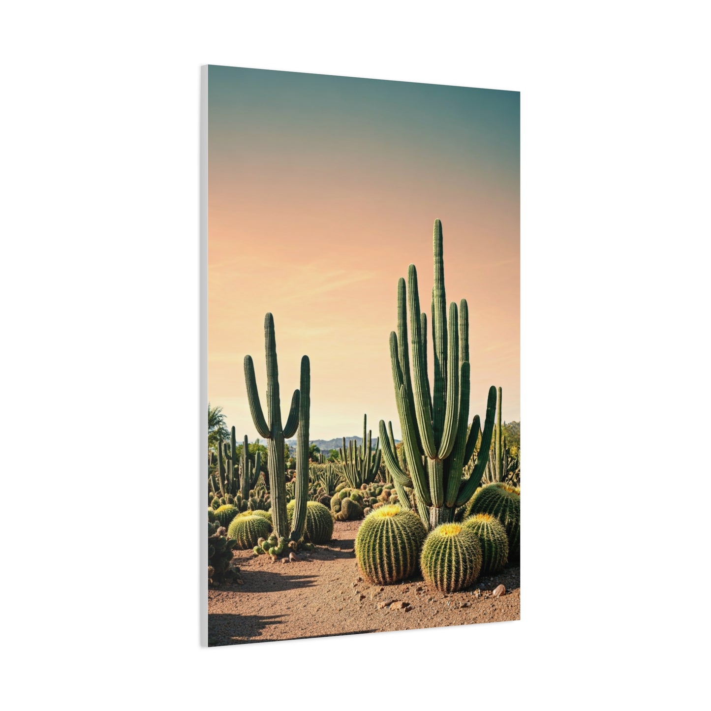 Sonoran Desert Cactus Garden Wall Art & Canvas Prints