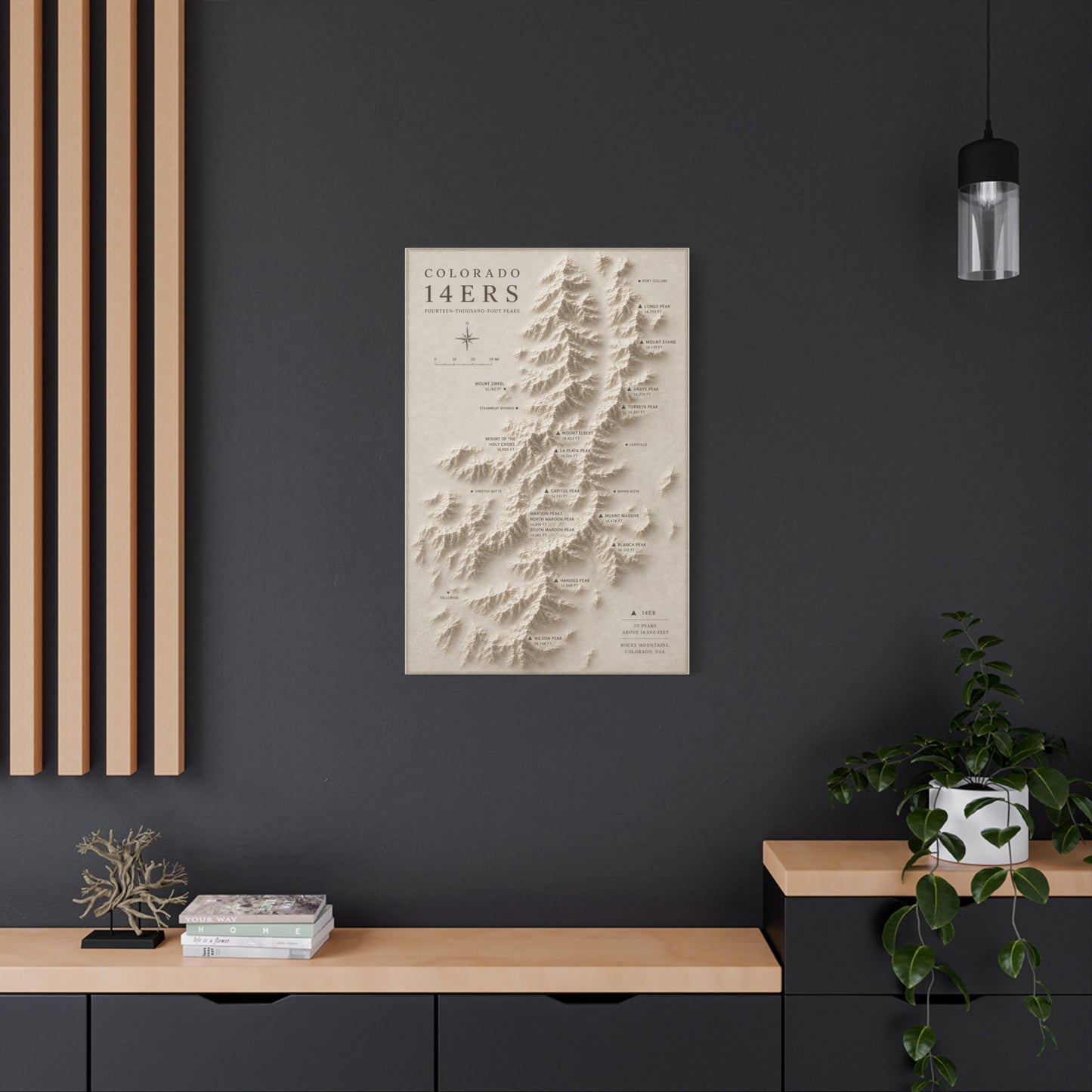 Colorado 14ers Relief Map Wall Art & Canvas Print