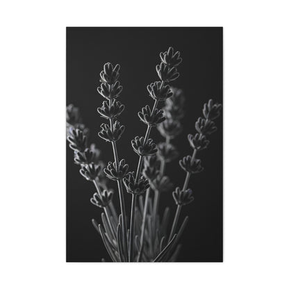 Lavender Silhouette Study Wall Art & Canvas Prints