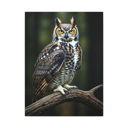 Majestic Owl Perch Wall Art & Canvas Prints