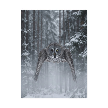 Great Grey Owl Winter Flight Wall Art & Canvas Print