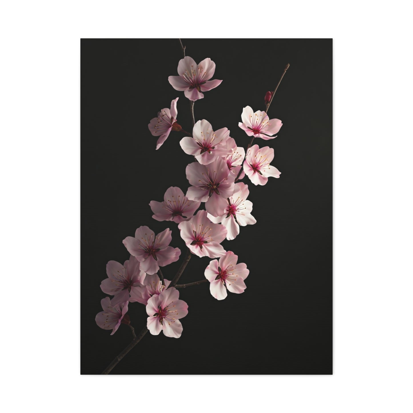 Dark Luxury Cherry Blossom Branch Wall Art & Canvas Prints