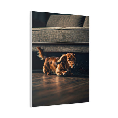 Playful Dash Dachshund Wall Art & Canvas Print