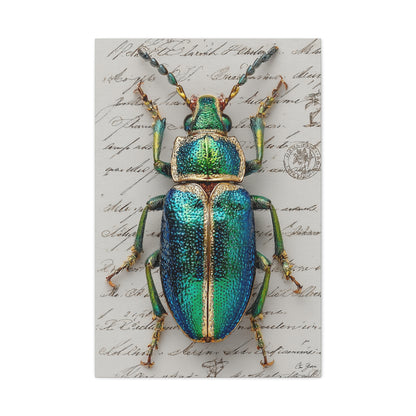 Emerald Beetle Natural History Wall Art & Canvas Print