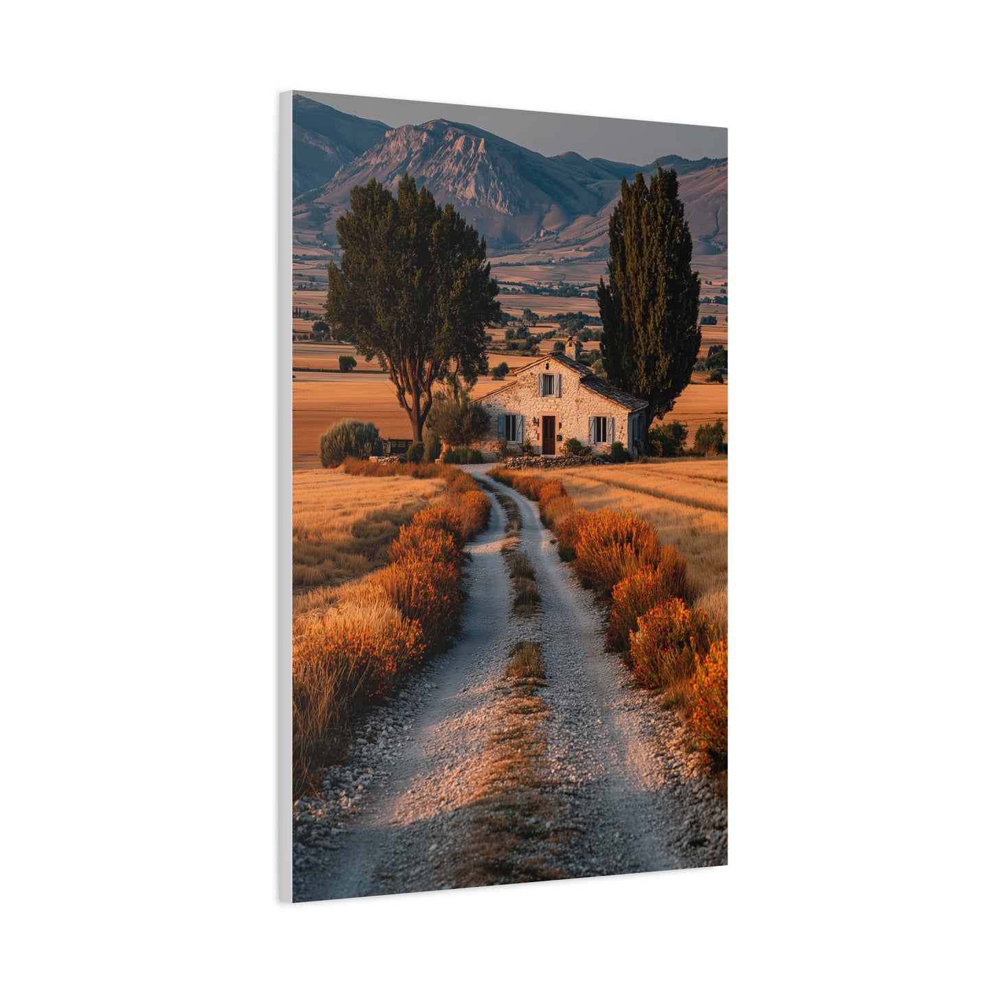 Farmhouse Gravel Lane Countryside Wall Art & Canvas Print