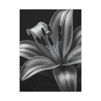 Lavender Silhouette in Low Light Wall Art & Canvas Prints