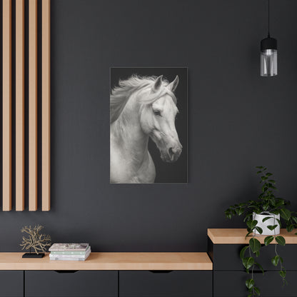White Horse Fine Art Portrait Wall Art & Canvas Print