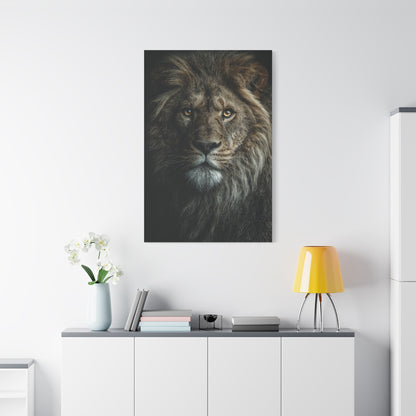 Lion Close Portrait Intense Gaze Wall Art & Canvas Print