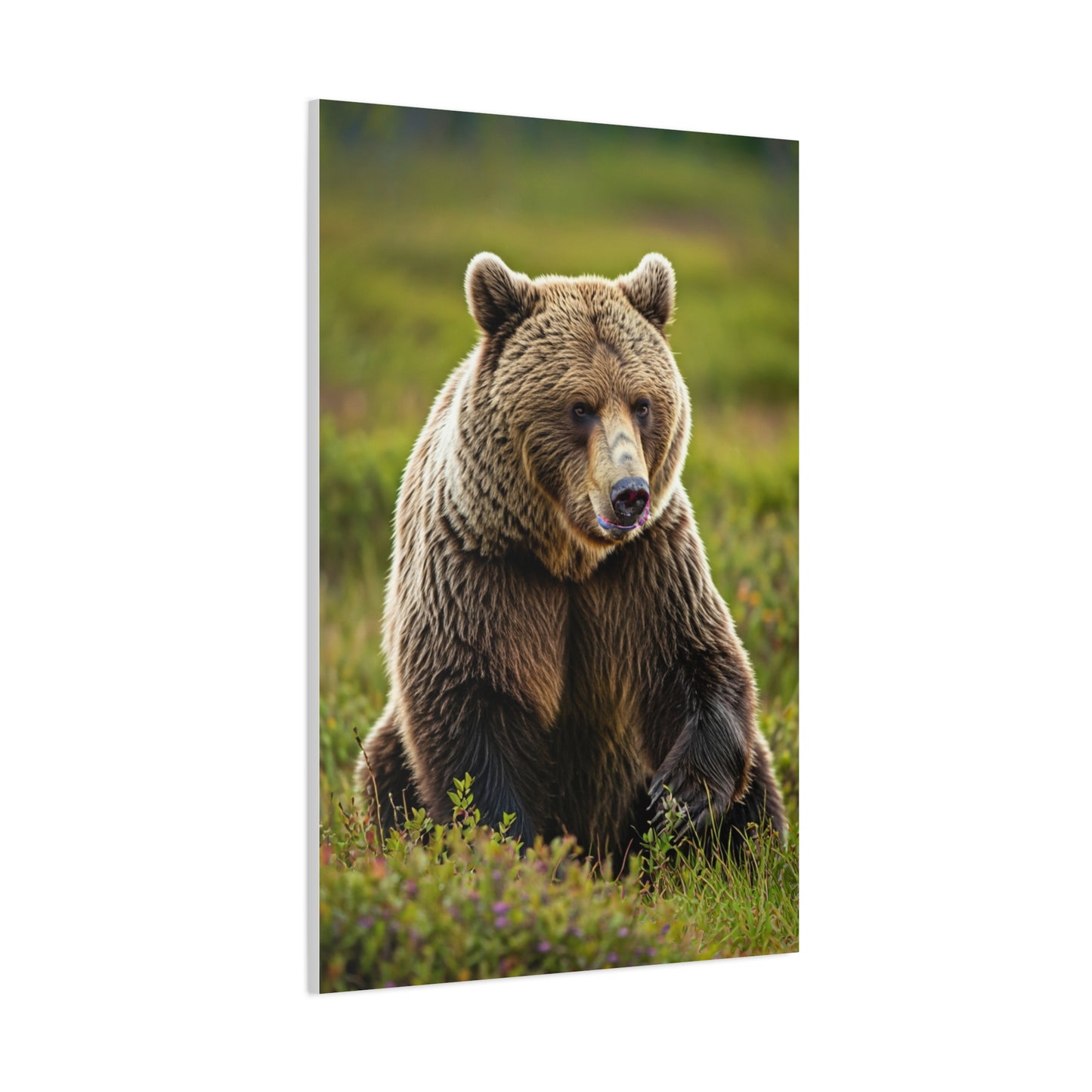 Wild Brown Bear Portrait wall art & canvas prints