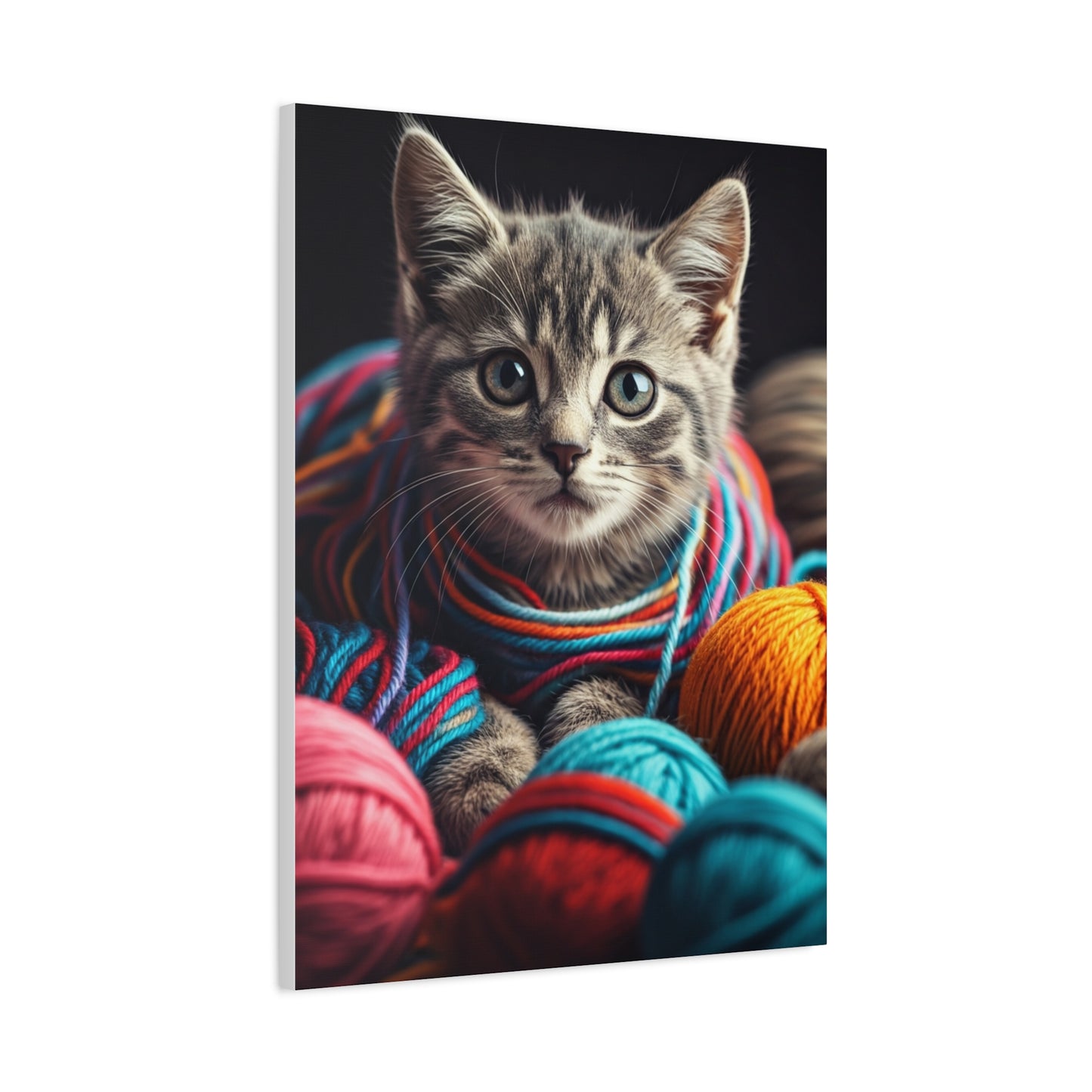 Whiskers in Wool Wall Art & Canvas Print