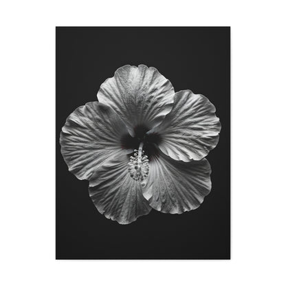Monochrome Hibiscus Elegance Wall Art & Canvas Prints