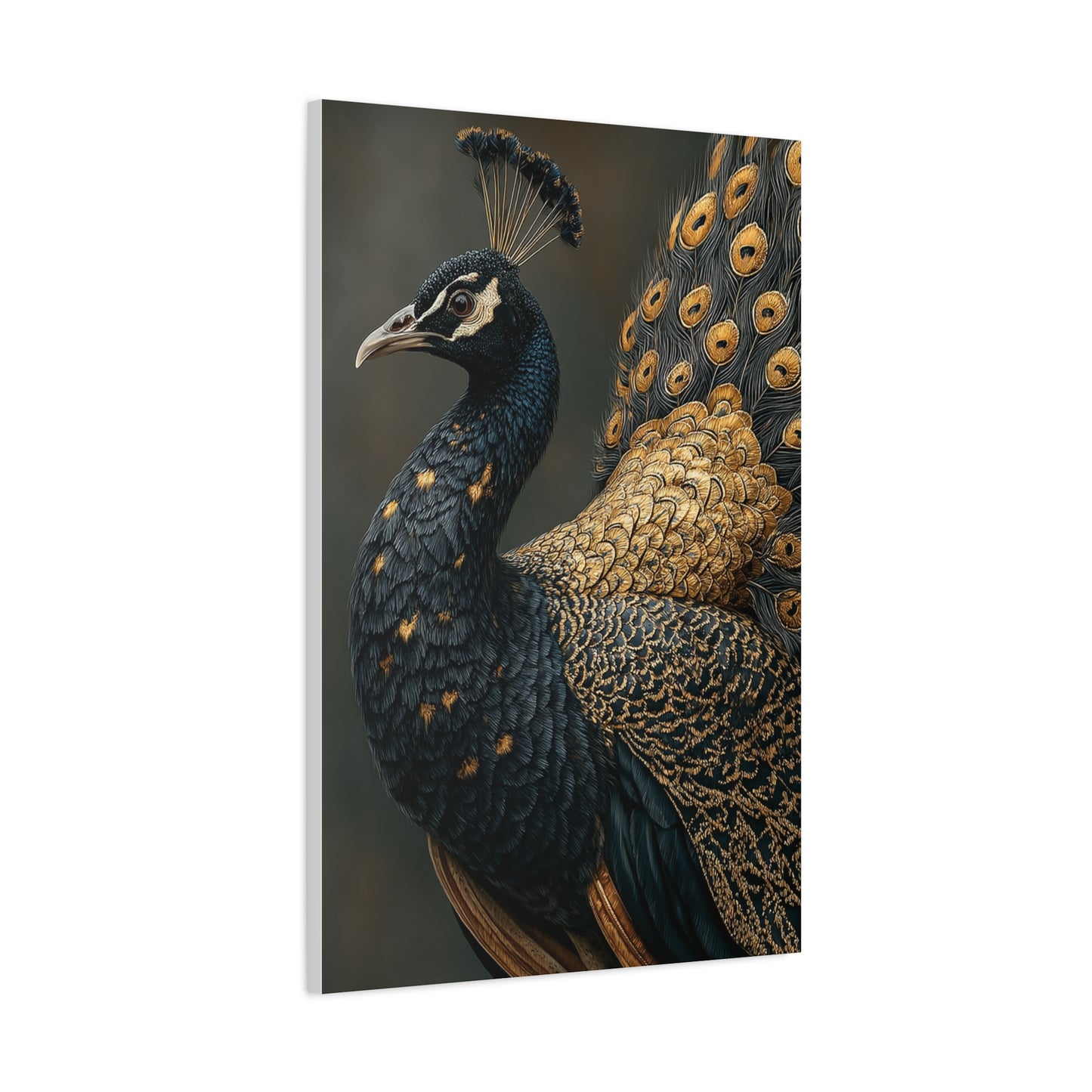Black and Gold Peacock Elegance Wall Art & Canvas Print