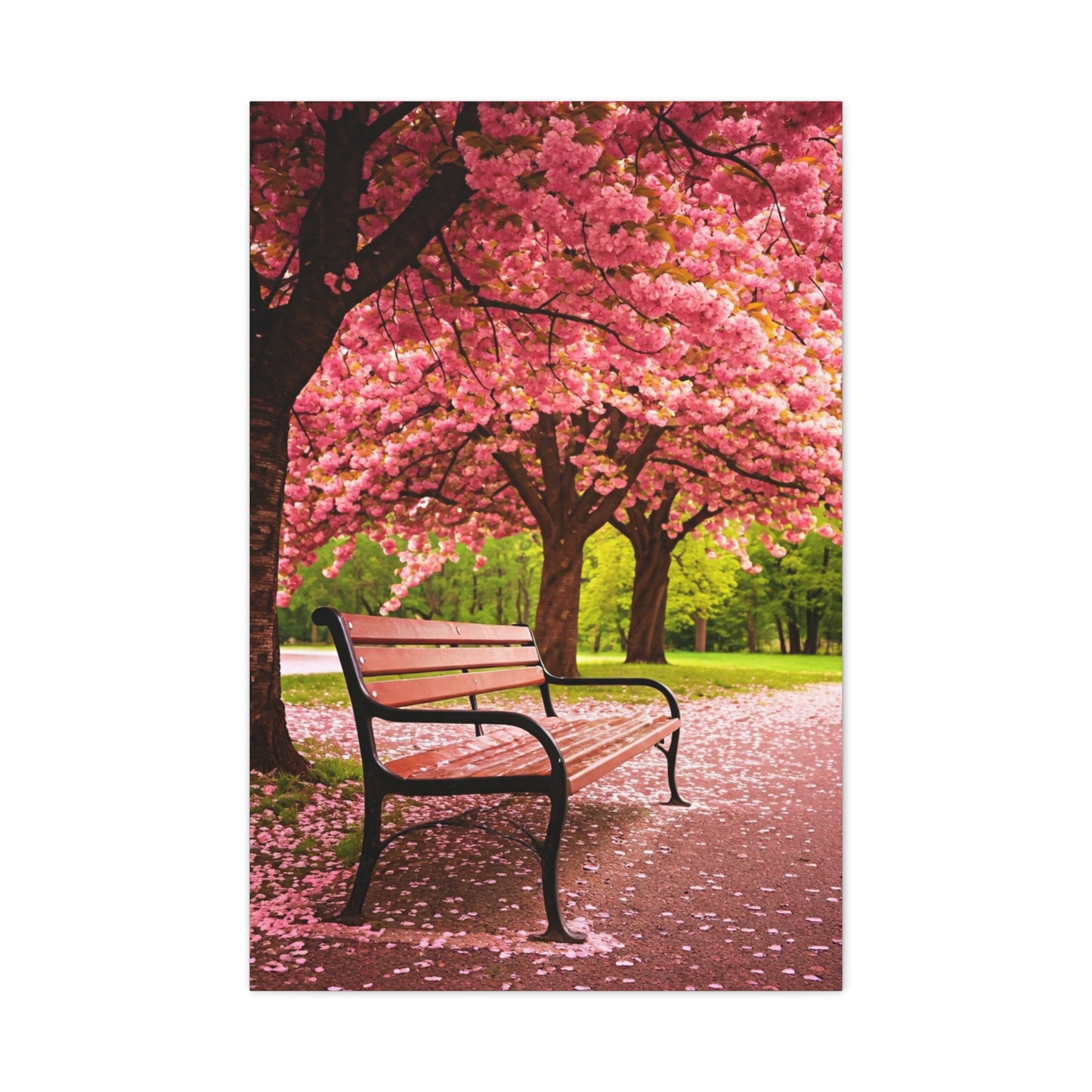 Cherry Blossom Park Bench Serenity Wall Art & Canvas Prints
