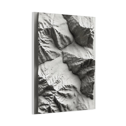 Sculpted Topographic Relief Wall Art & Canvas Print