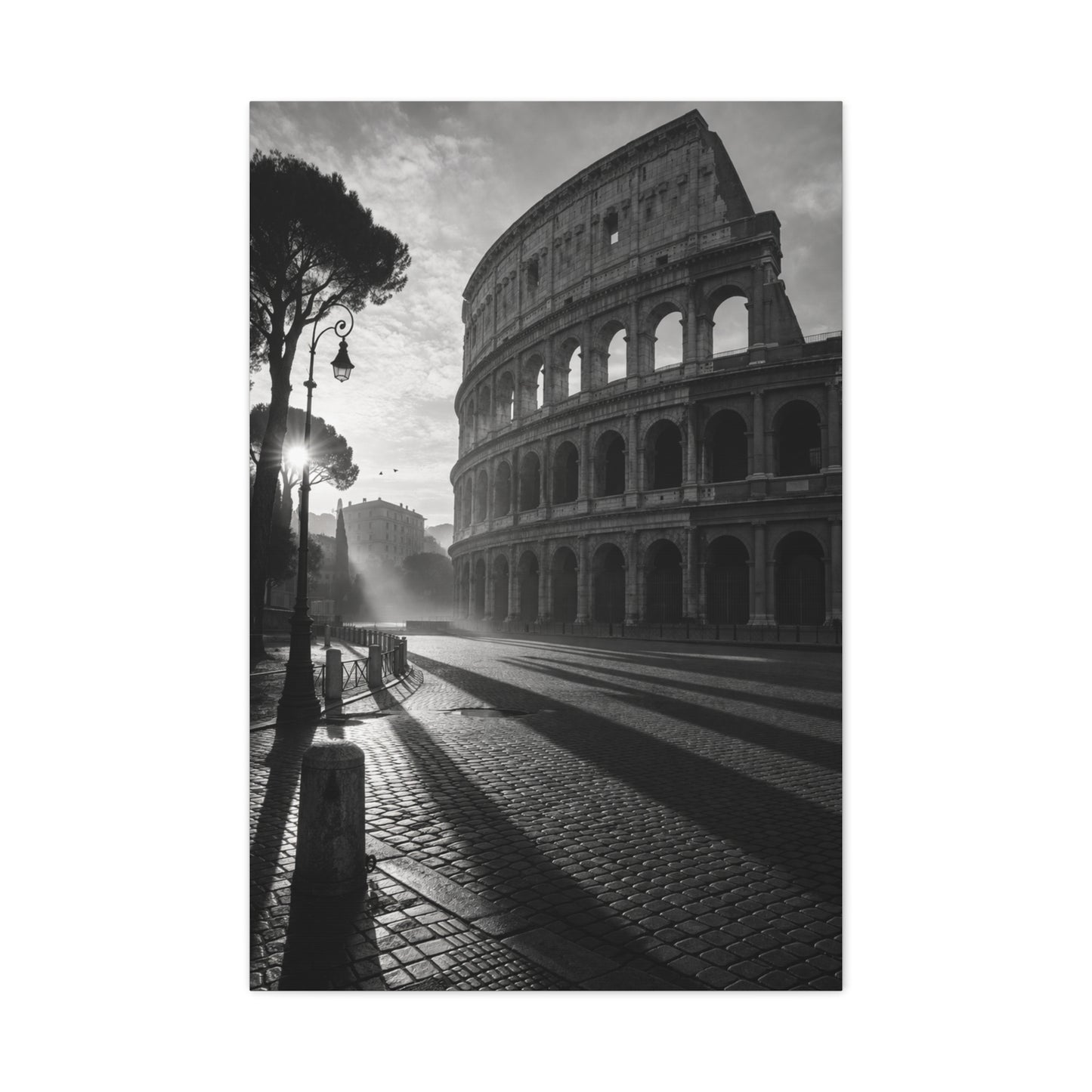 Colosseum Morning Light Monochrome Wall Art & Canvas Print