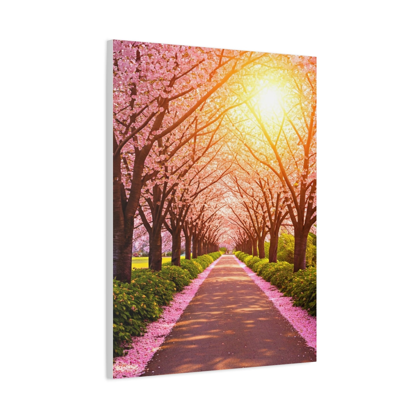 Cherry Blossom Tree Tunnel Spring Pathway Wall Art & Canvas Prints