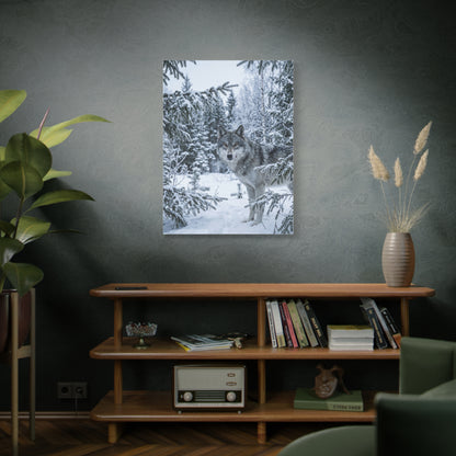 Winter Forest Wolf Natural Encounter Scene Wall Art & Canvas Print