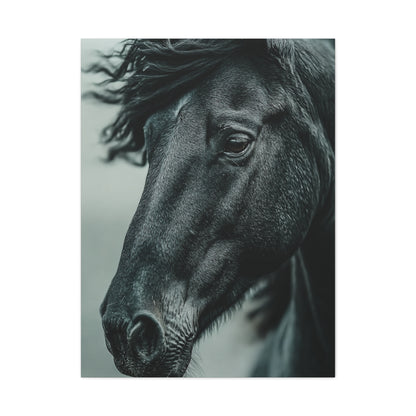 Black Stallion Close Portrait Wall Art & Canvas Print