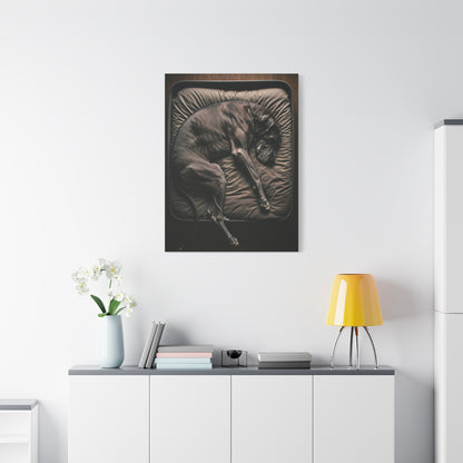 Peaceful Slumber Canine Wall Art & Canvas Print