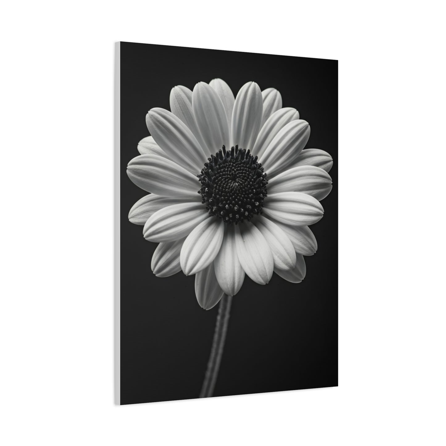 Bold Daisy Contrast Portrait Wall Art & Canvas Prints