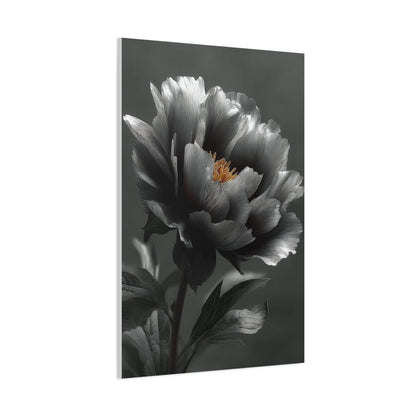 Silver Peony Fine Art Floral Wall Art & Canvas Print