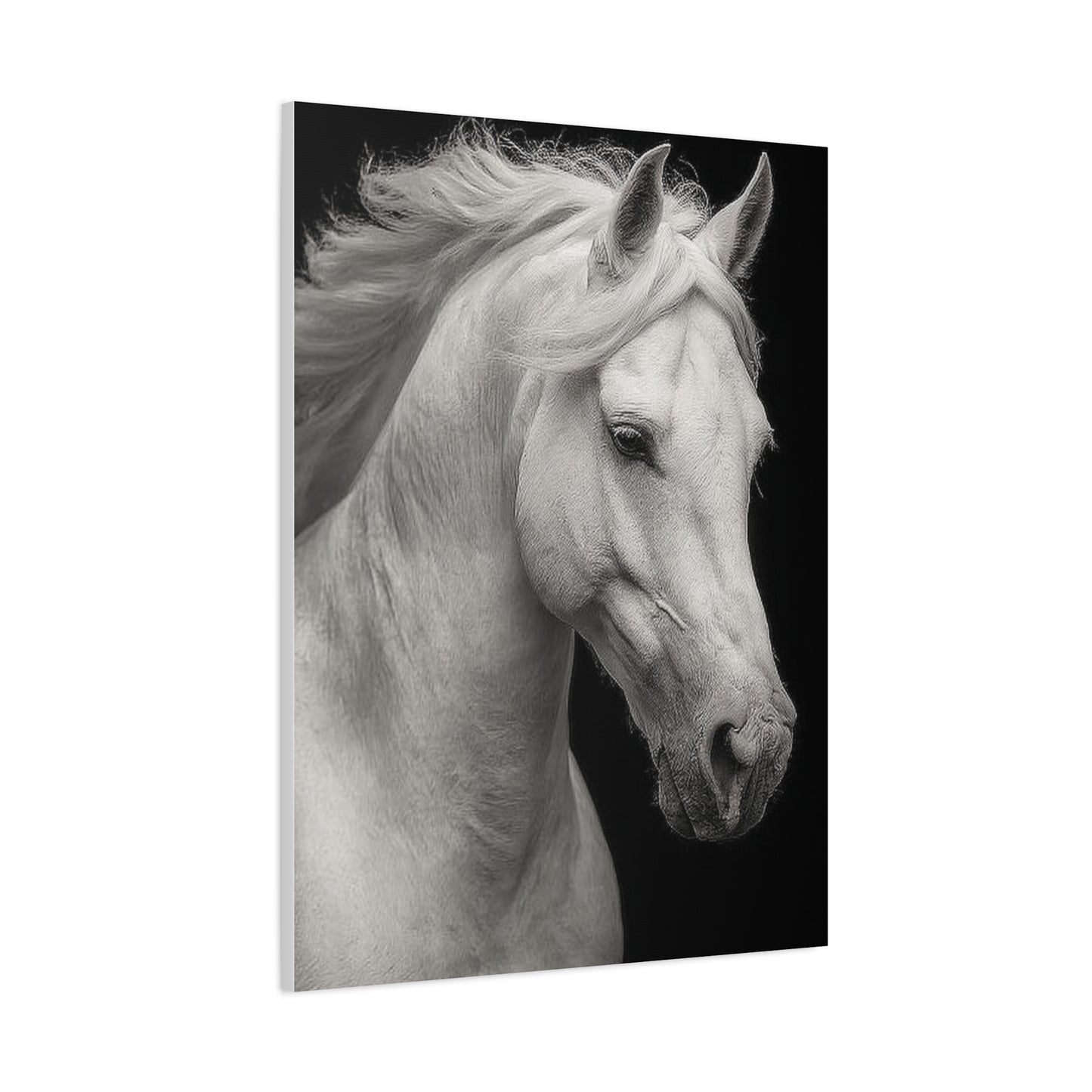 White Horse Fine Art Portrait Wall Art & Canvas Print