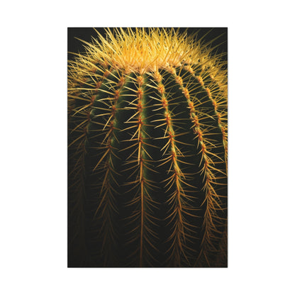 Desert Barrel Cactus Macro Texture Wall Art & Canvas Prints