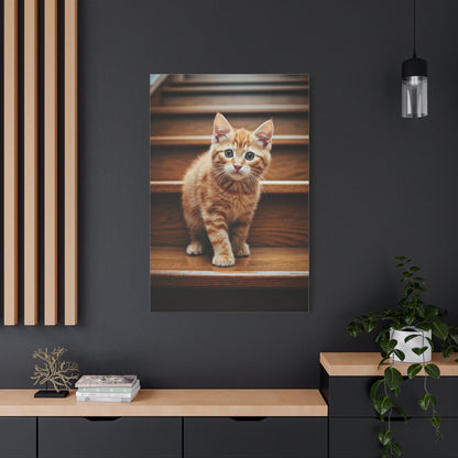 Curious Kitten on Wooden Steps Wall Art & Canvas Prints