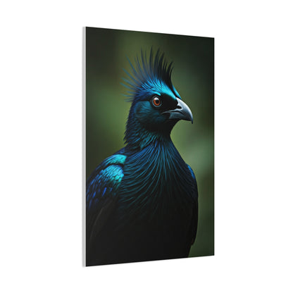 Midnight Crested Starling Portrait Wall Art & Canvas Prints