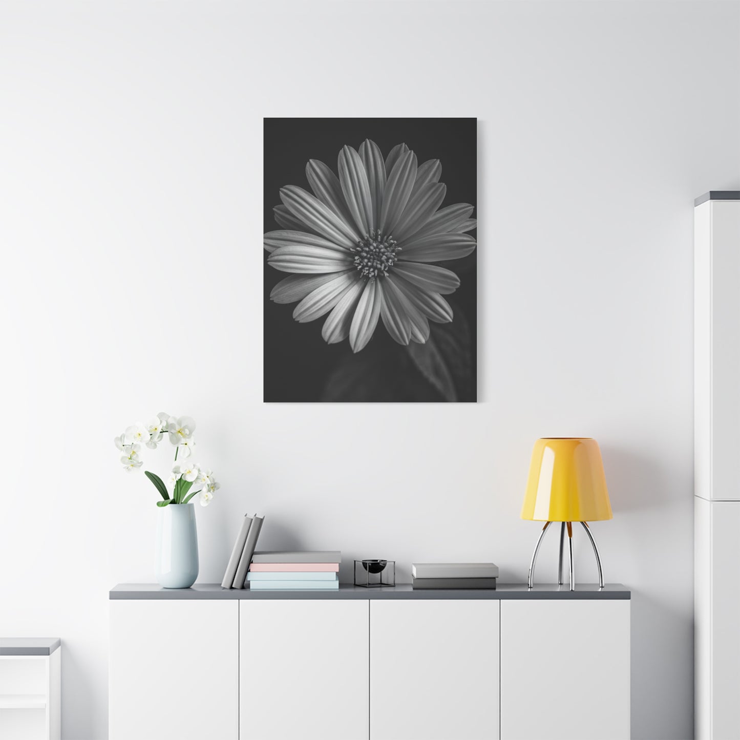 Radiant Daisy in Shadow Wall Art & Canvas Prints