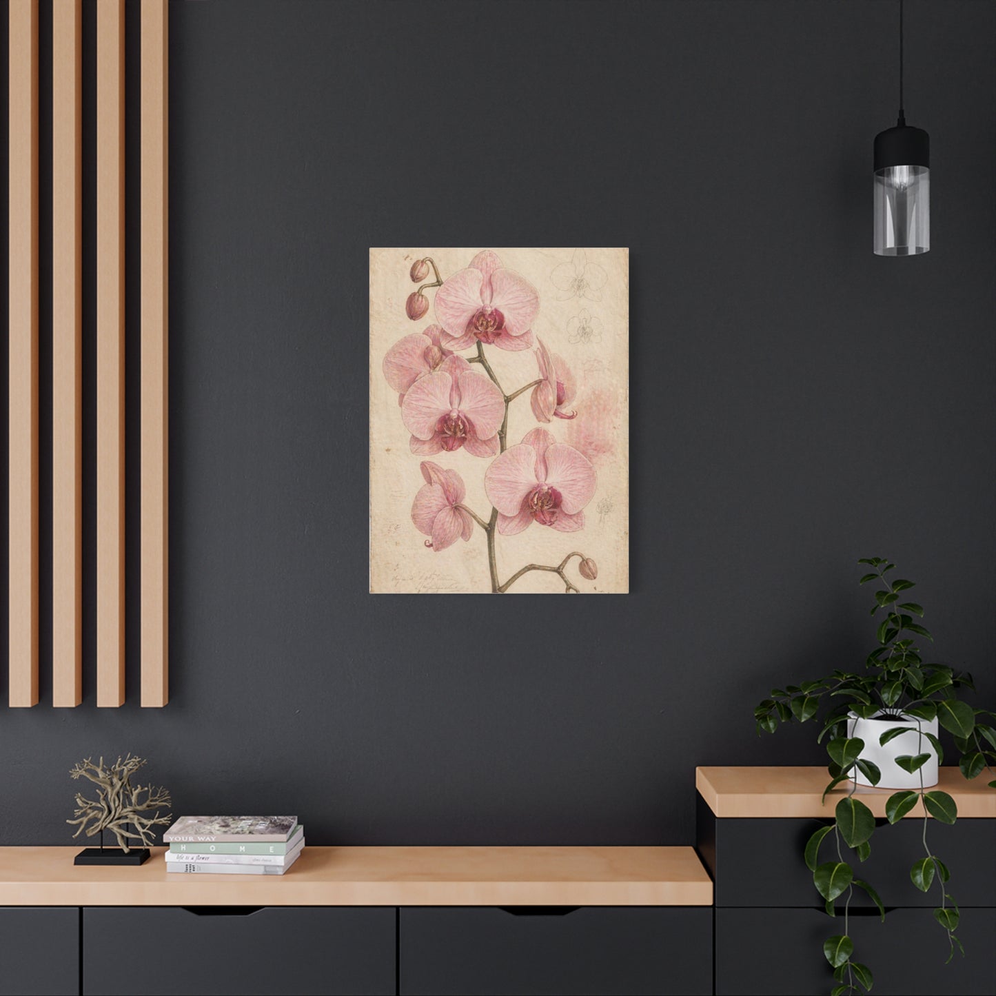 Vintage Orchid Botanical Study Wall Art & Canvas Print